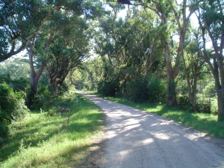 camino de la estancia